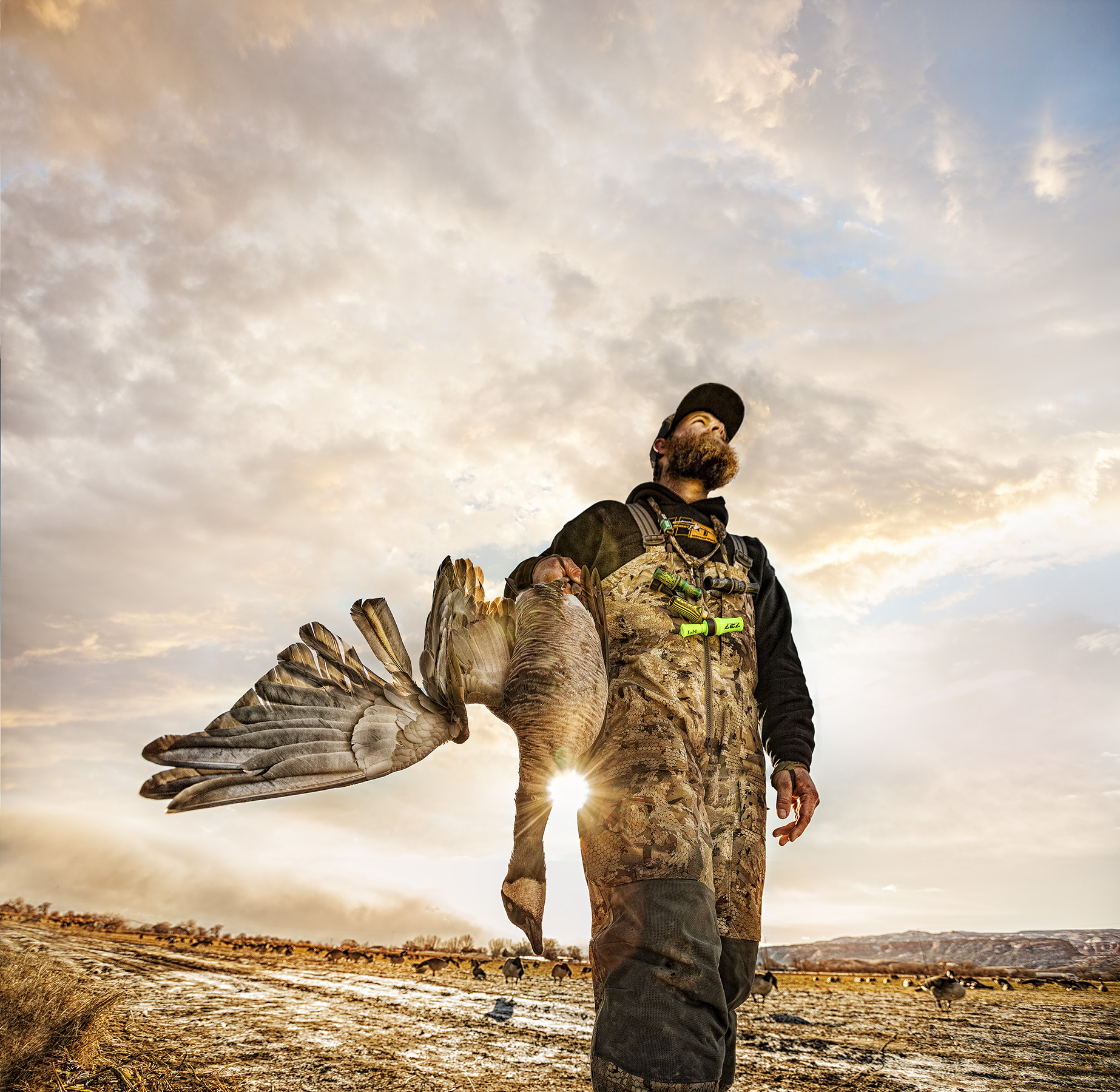 Dead-Goose-2