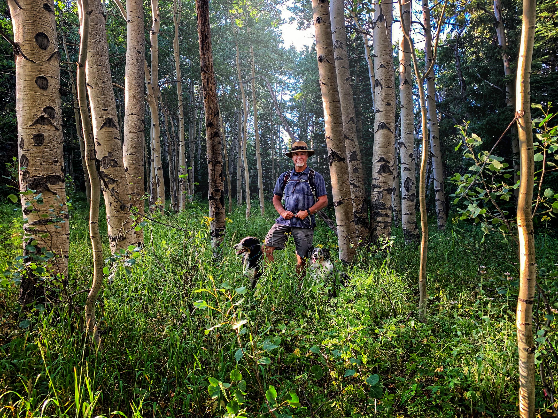Ken-in-Aspens