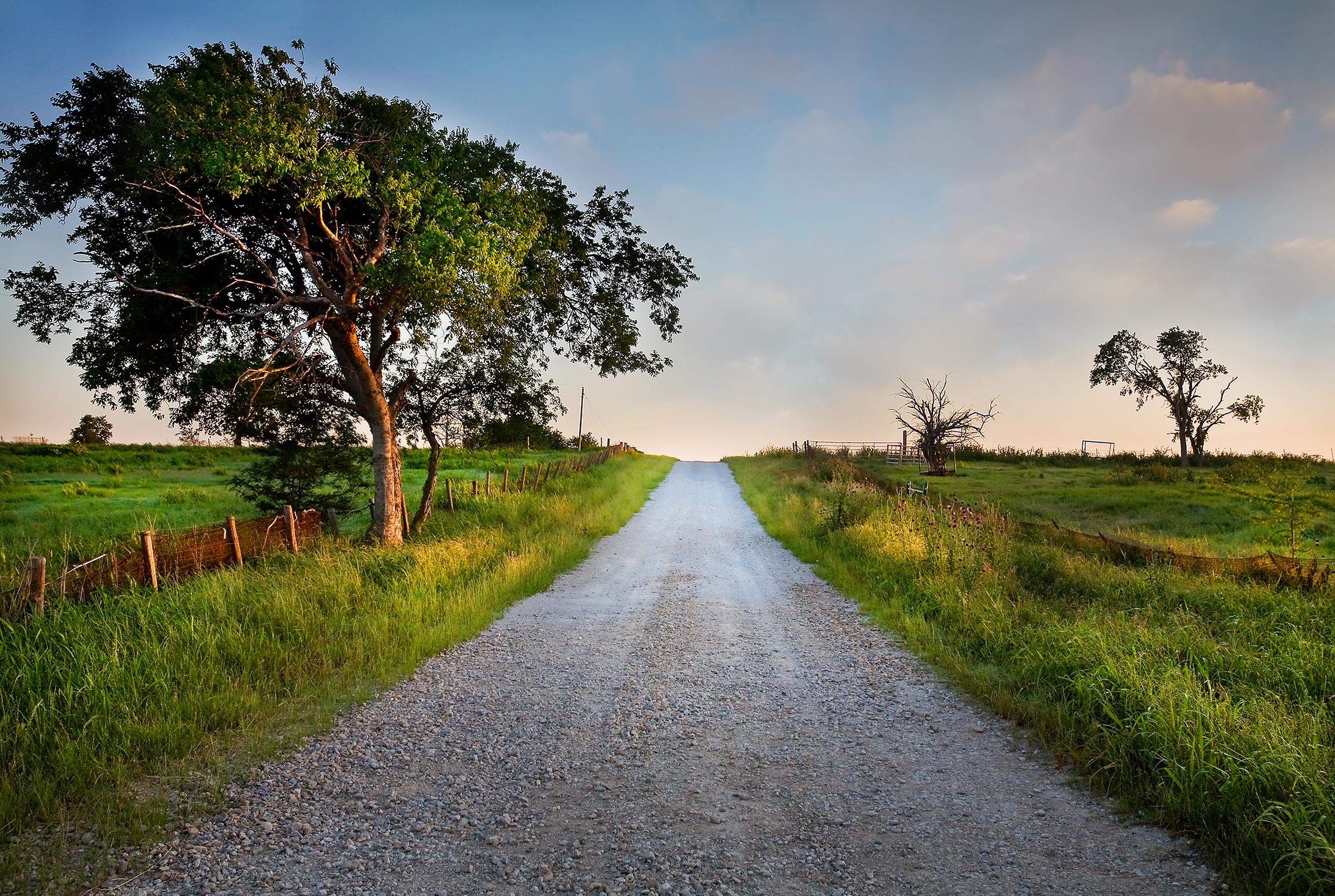 Road-less-traveled