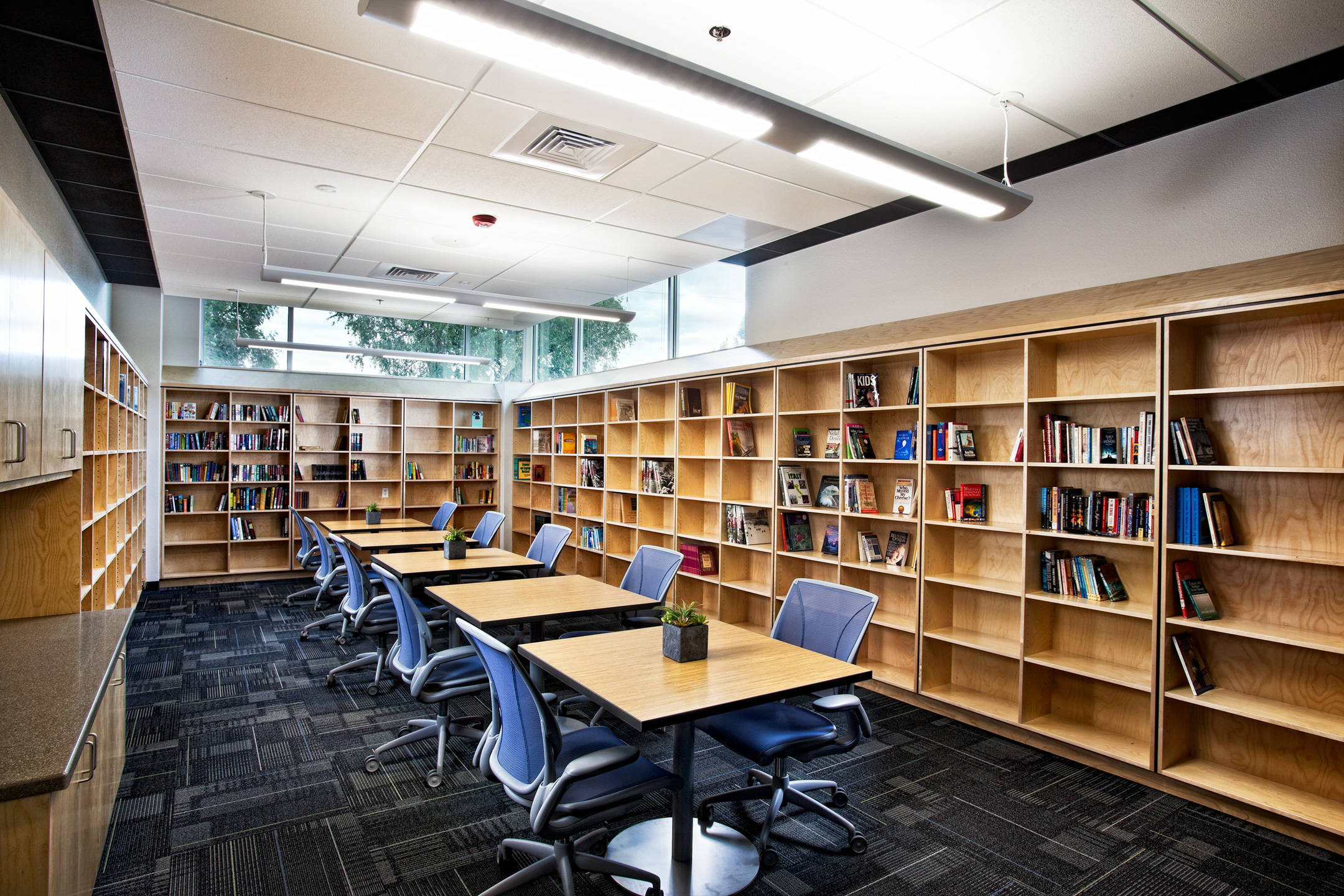Vista-School-Library-1.jpg