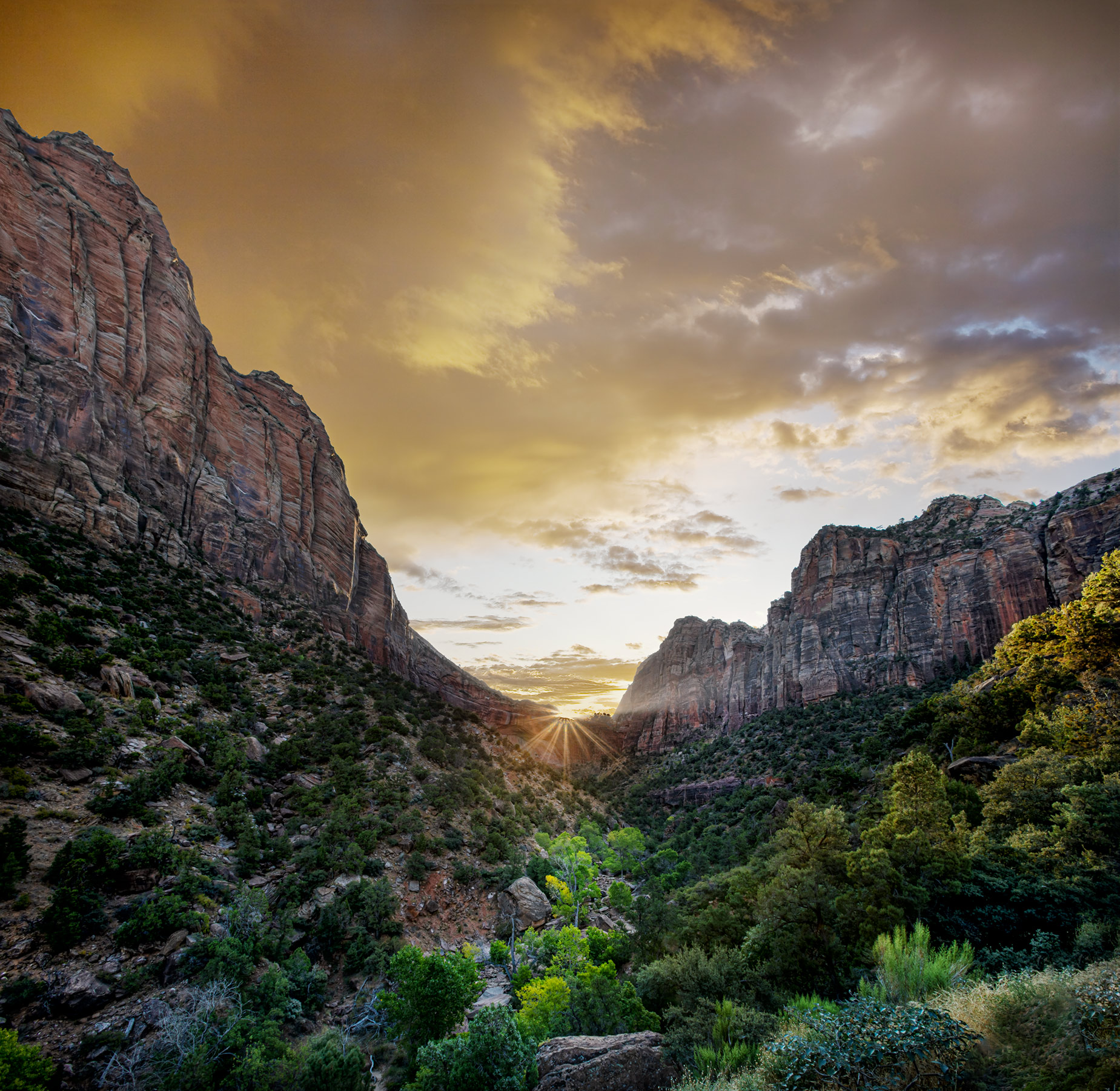Zion-7