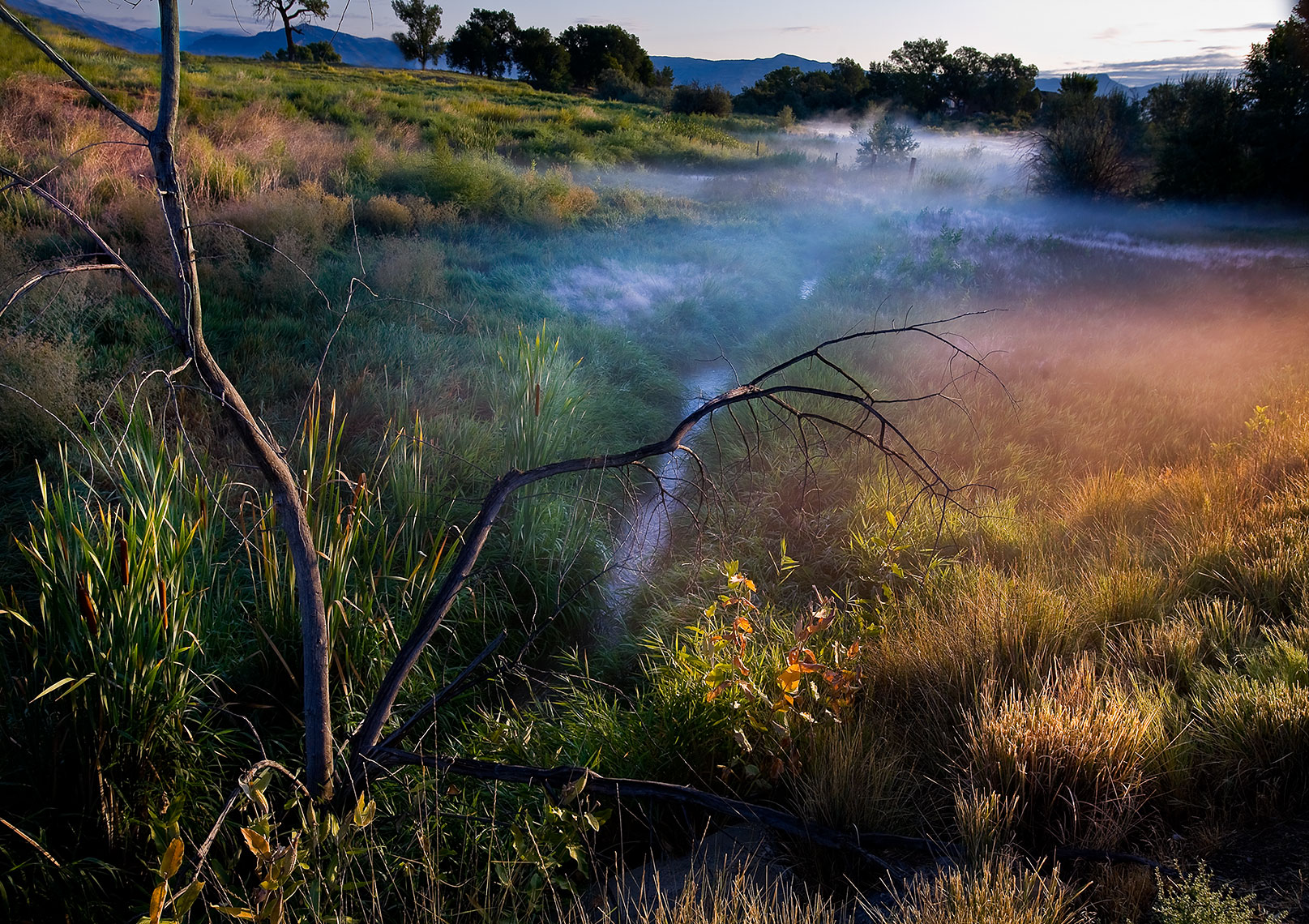 landscape-21.jpg